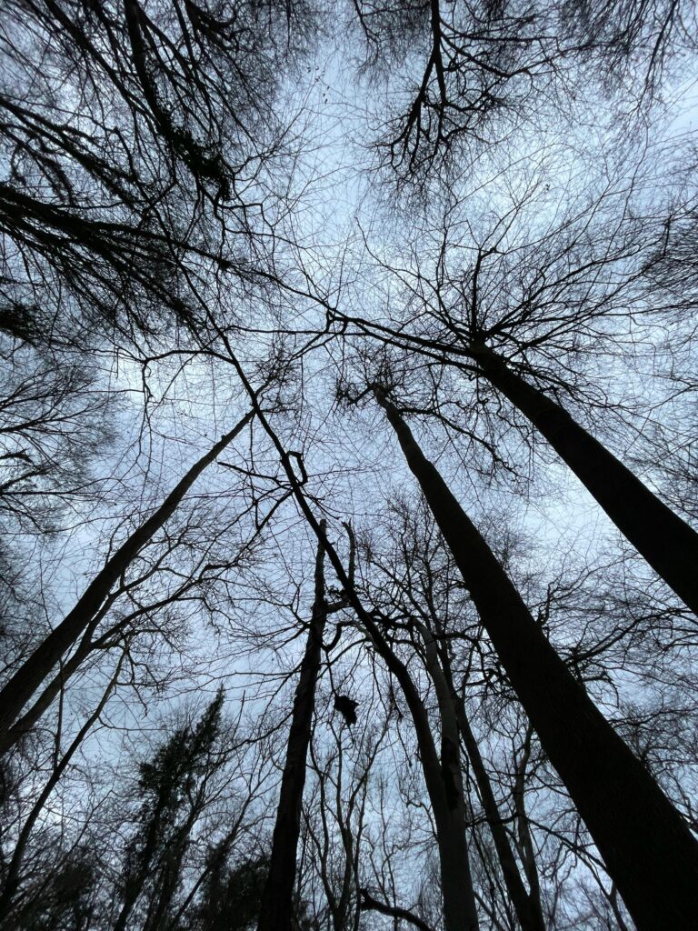 Why Move to Gloucestershire