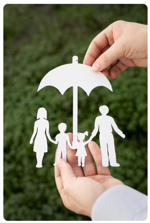 Life Insurance Advisers