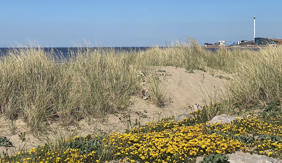 Why Move to Denbighshire